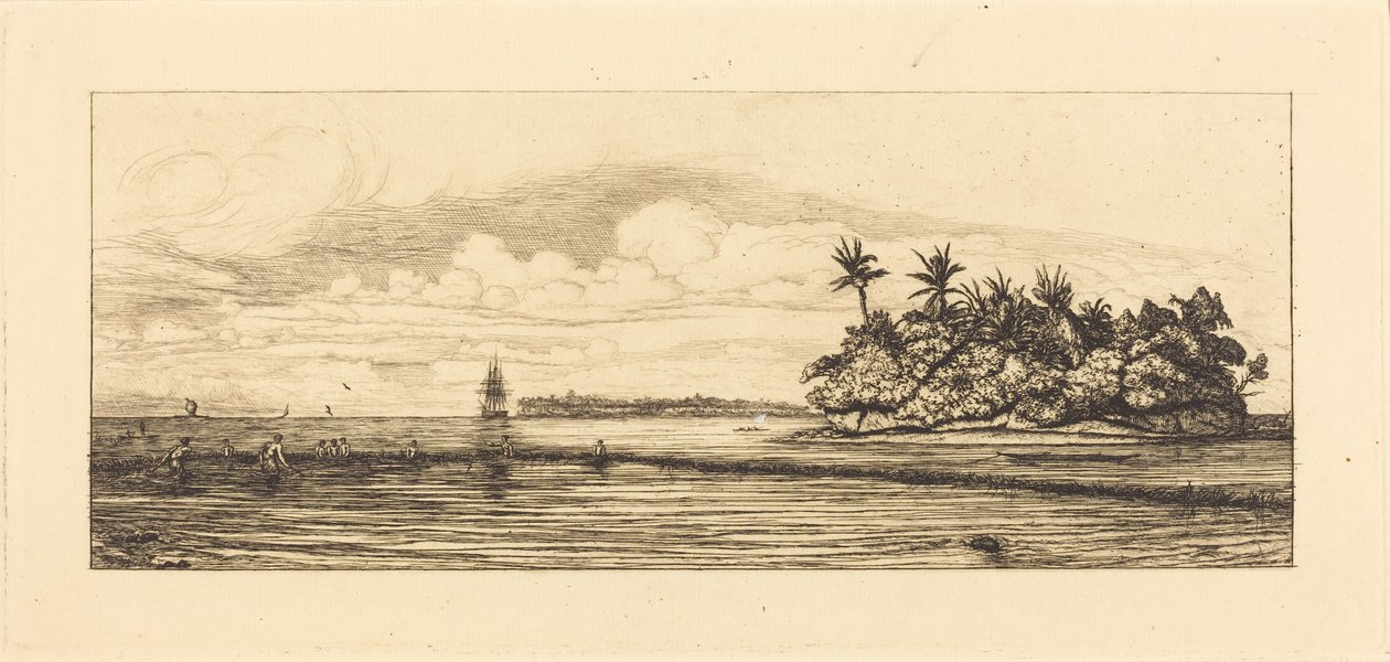 Oceanië, eilandjes bij Uvea (Wallis); Vissen met zwemvliezen, 1845 (Oceanië: Vissen, nabij eilandjes met palmbomen in de Uvea- of Wallis-groep) door Charles Meryon