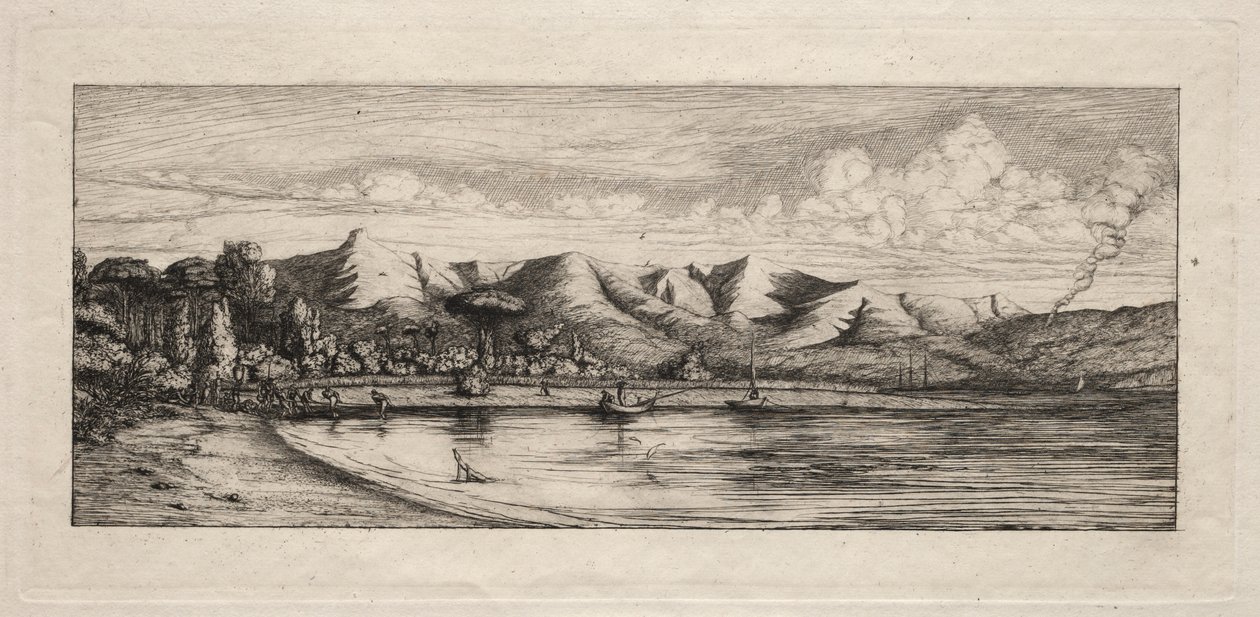 Seine vissen bij Charcoal Burners Point, Akaroa, 1865 door Charles Meryon