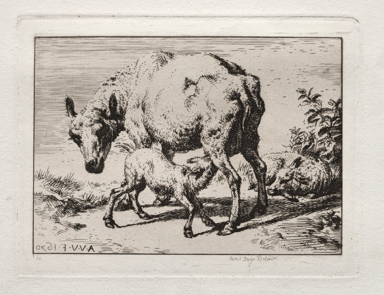 Het schaap met twee lammeren door Charles Meryon
