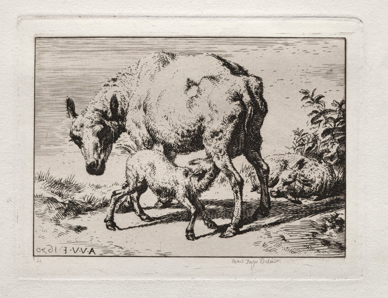 De ooi met twee lammeren, 1850 door Charles Meryon