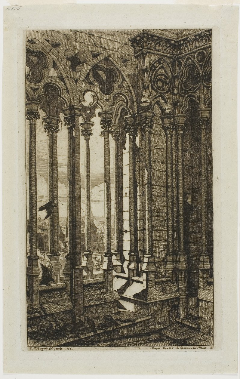 De galerij van Notre-Dame, Parijs door Charles Meryon