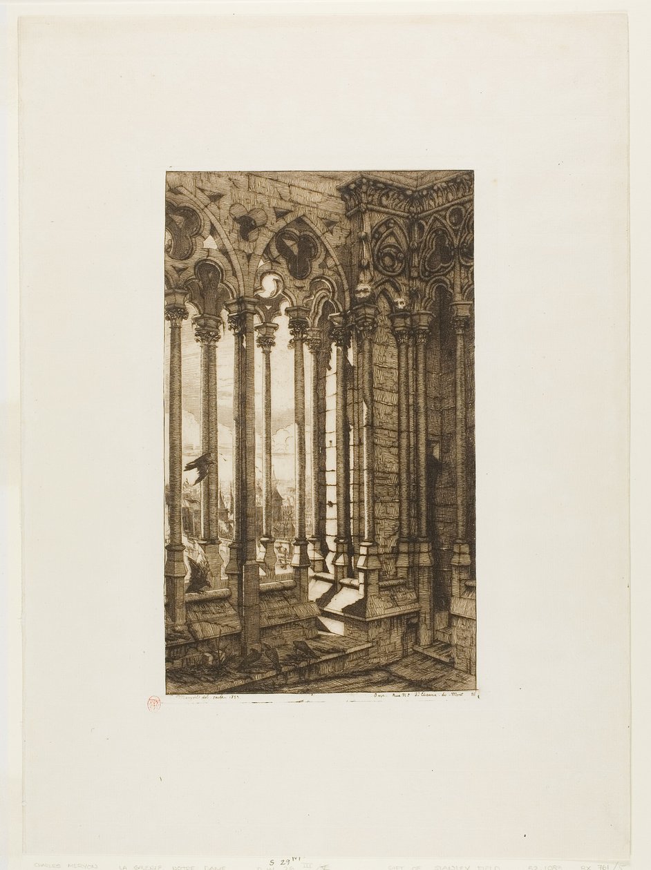 De galerij van Notre-Dame, Parijs door Charles Meryon