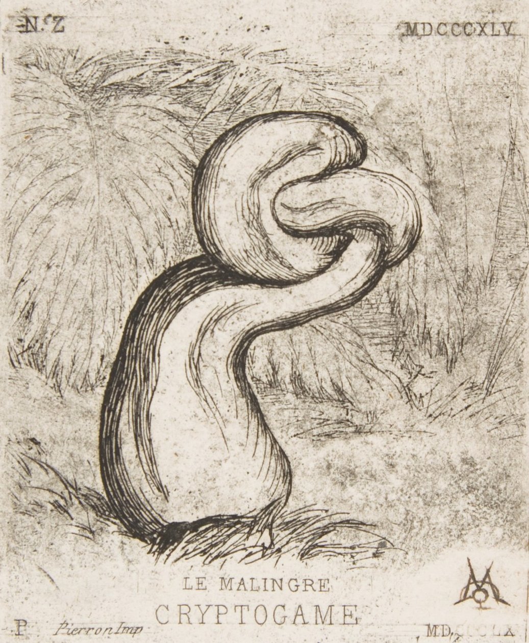 De nietige Cryptogamia, 1860 door Charles Meryon