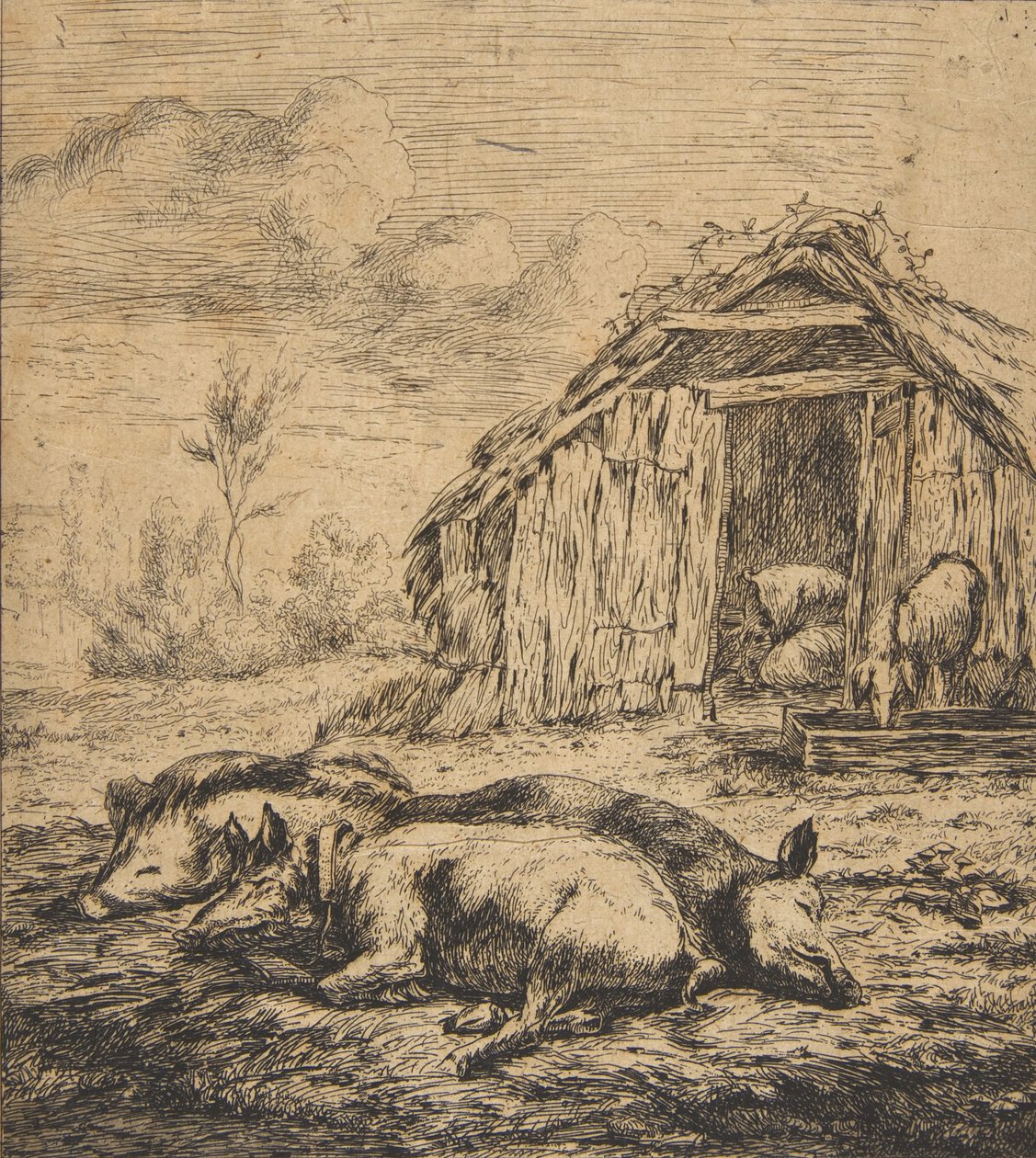 Drie varkens liggend voor een schuur, 1850 door Charles Meryon