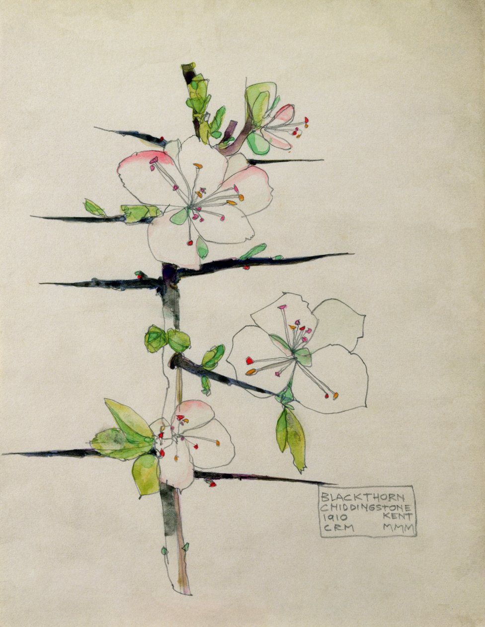 Blackthorn, Chiddingstone, Kent, 1910 door Charles Rennie Mackintosh