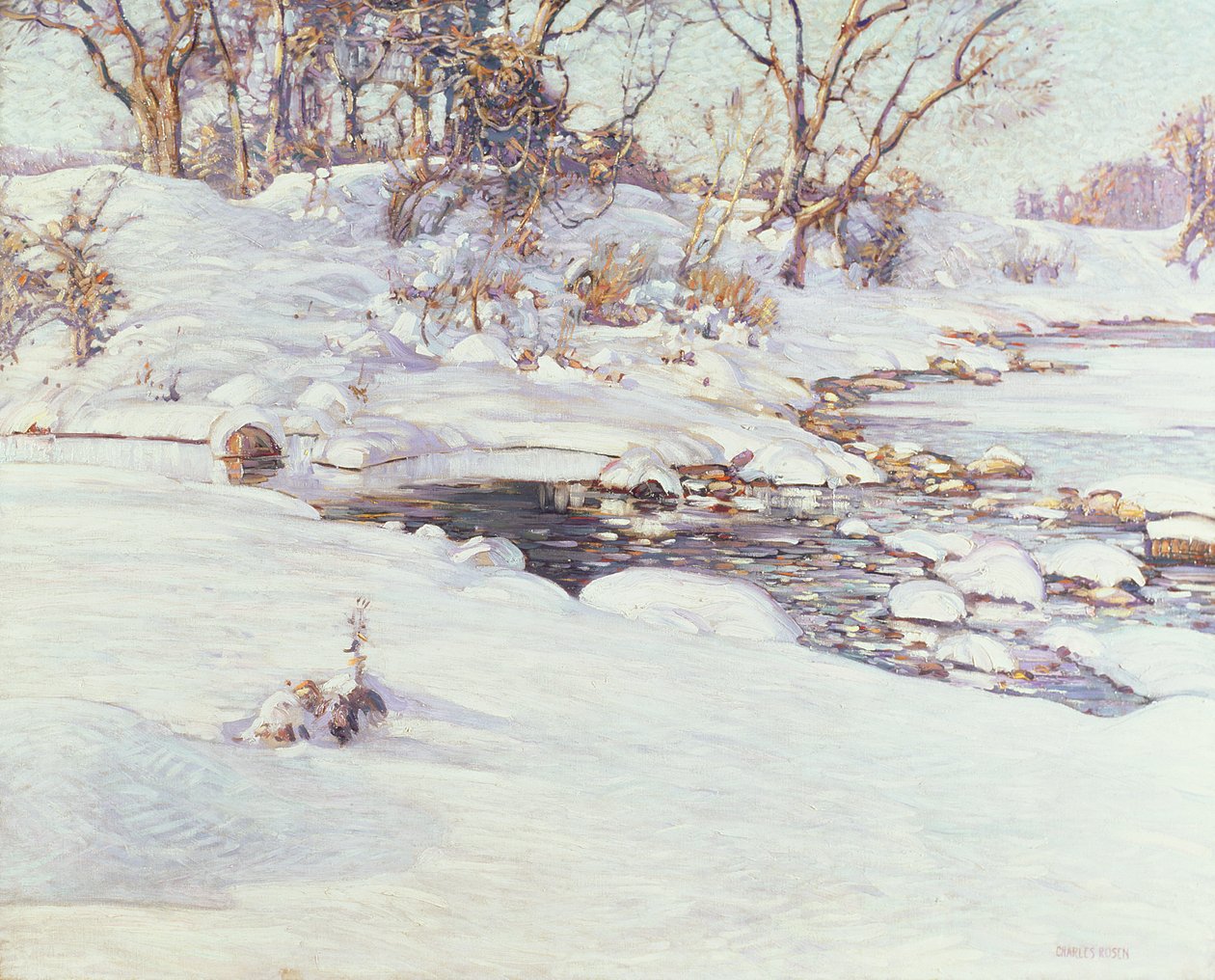 Winterzonlicht door Charles Rosen