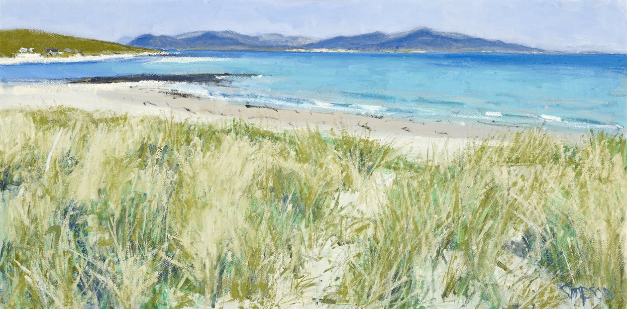 Strandgrassen, Berneray, 2011 (olieverf op doek) door Charles Simpson
