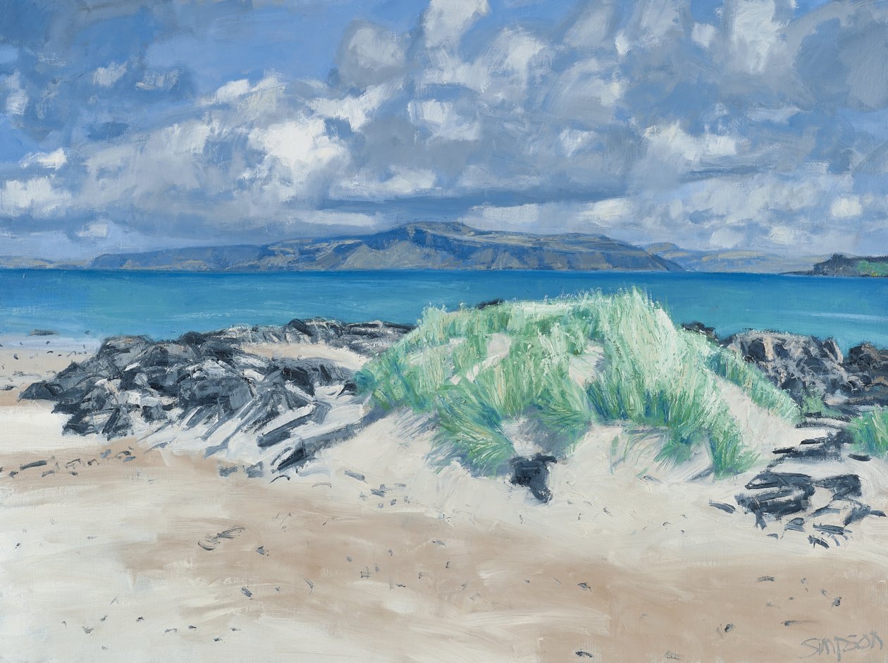 Rotsen en grassen, Iona, 2013 (olieverf op doek) door Charles Simpson