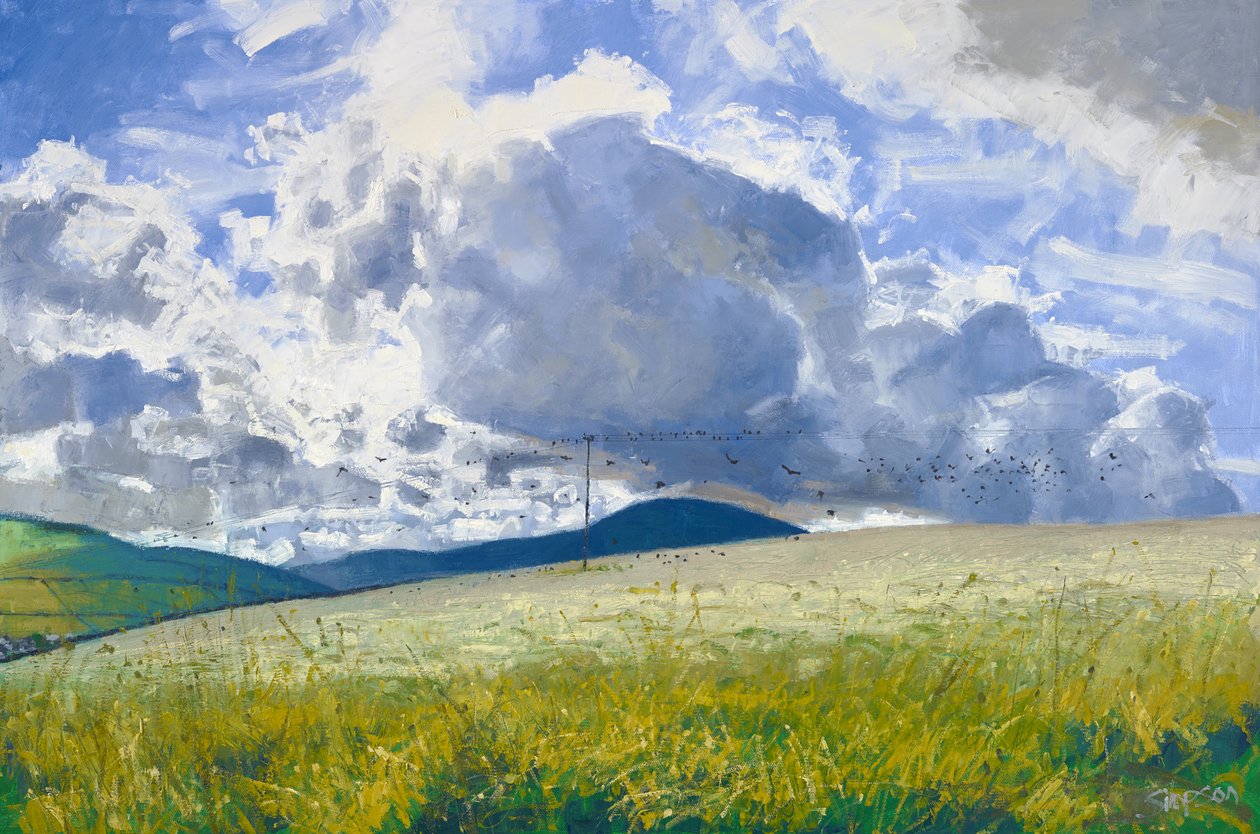 Stoppelveld: Rooks  Crows, 2015 (olieverf op doek) door Charles Simpson