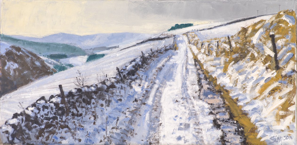 Spoor naar Clovenfords, 2017 (olieverf op doek) door Charles Simpson