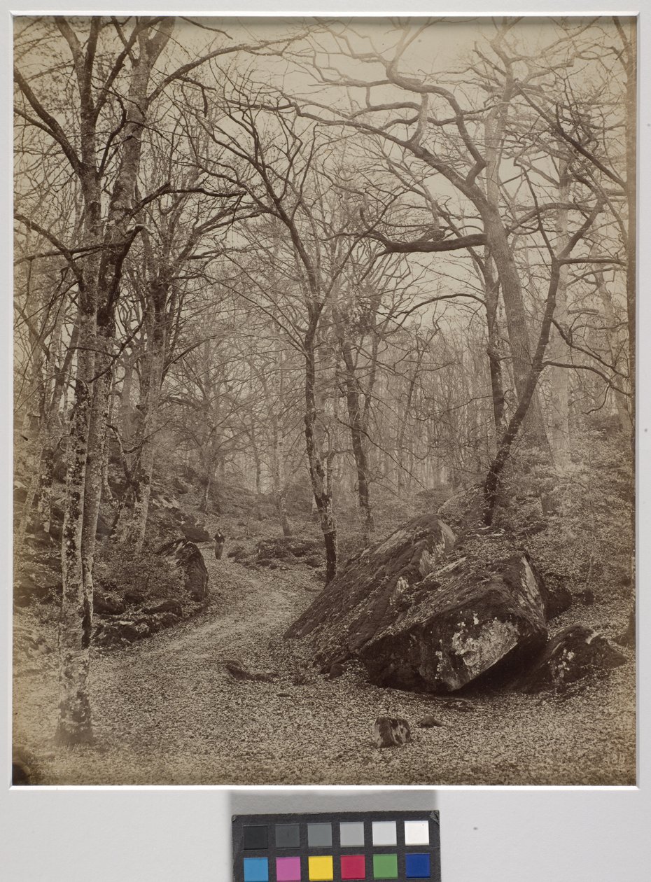 Fontainebleau, c.1870 door Charles Victor Famin
