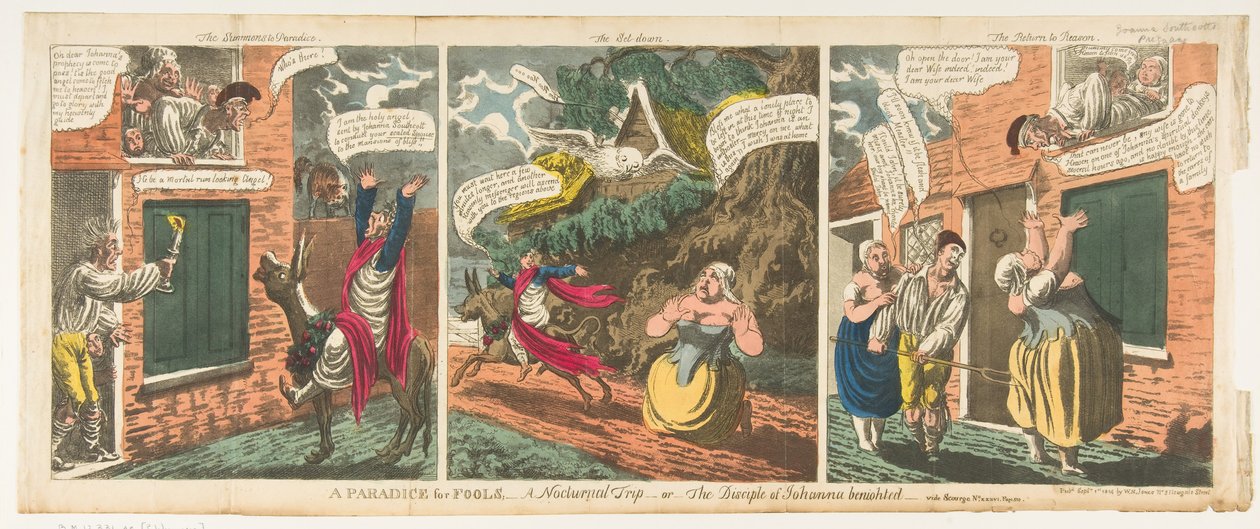 Een Paradijs voor Dwazen - Een Nachtelijke Reis - of De Leerling van Johanna door Charles Williams