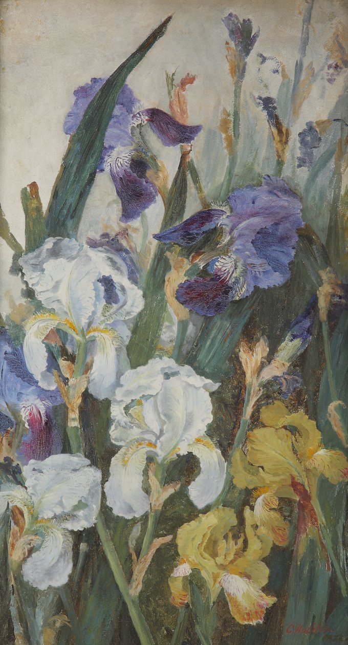 Irissen, 1882 door Charlotte Hodder