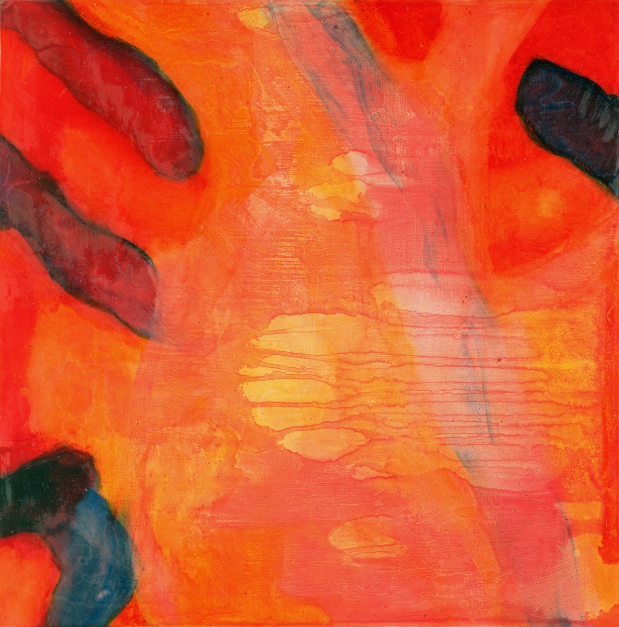 Clownvis II door Charlotte Johnstone