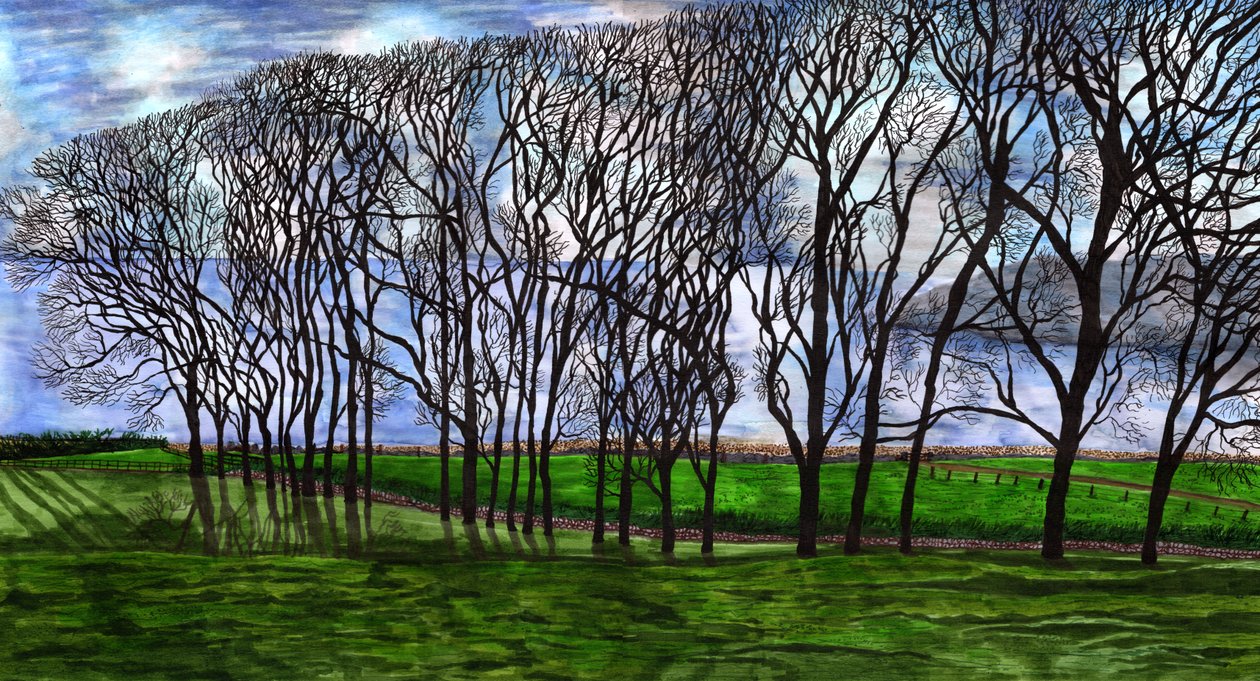 Cushendun, Noord-Ierland, 2020 door Charlotte Orr