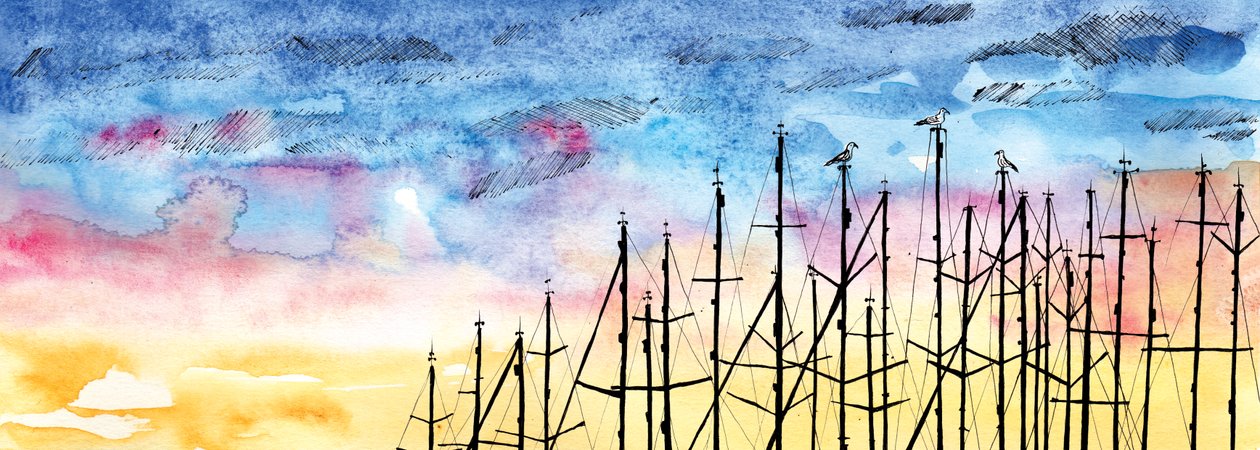 Het verhaal van de meeuw door Charlotte Orr