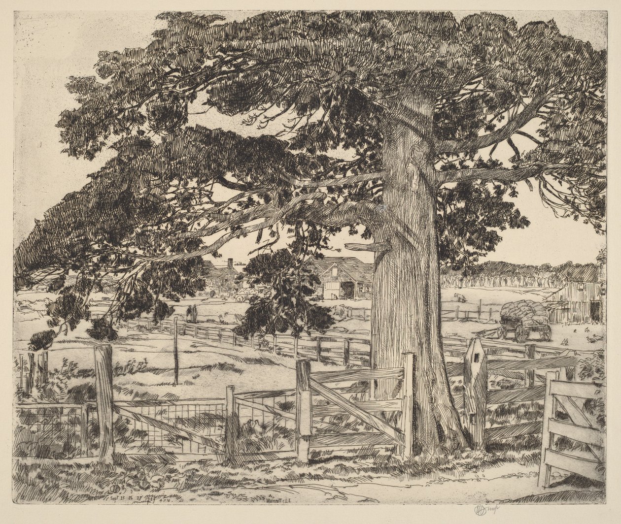 De grote ceder door Childe Hassam