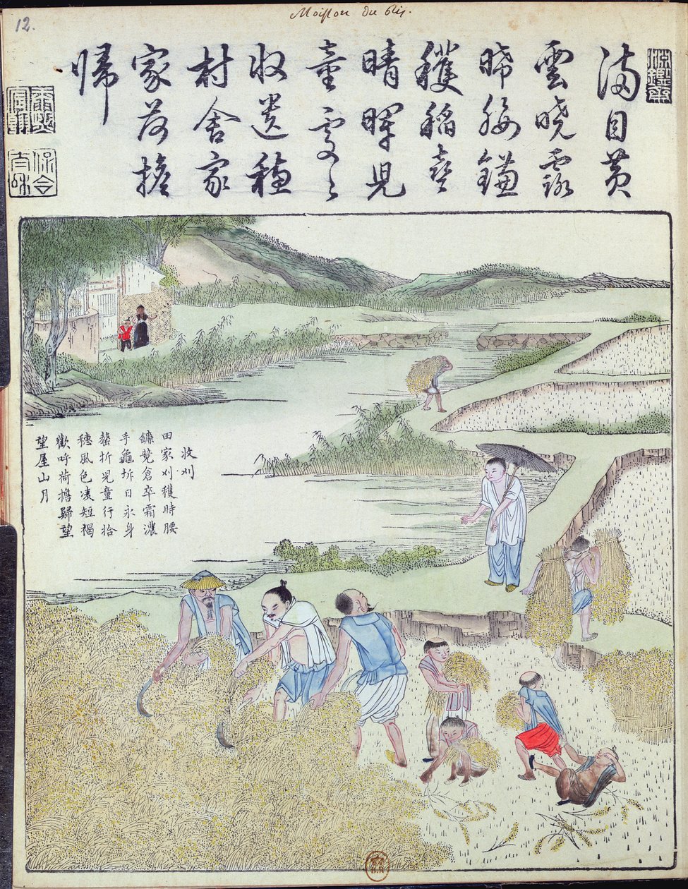 Oogst, De Rijstcultuur in China door Chinese School