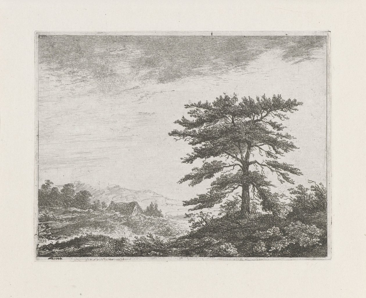 Boom in een heidelandschap door Christiaan Wilhelmus Moorrees