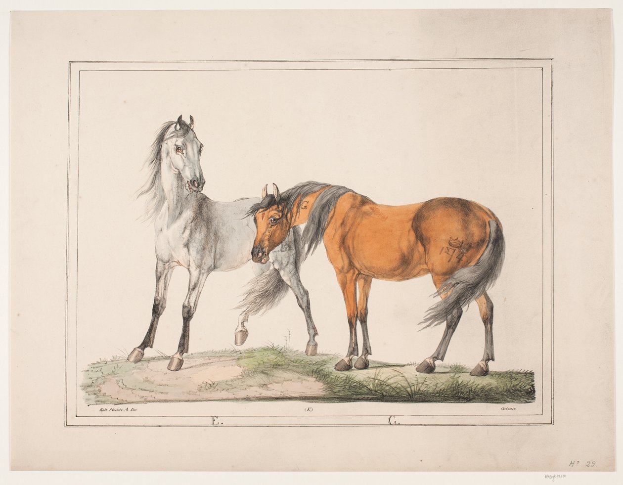 De paarden E & G door Christian David Gebauer
