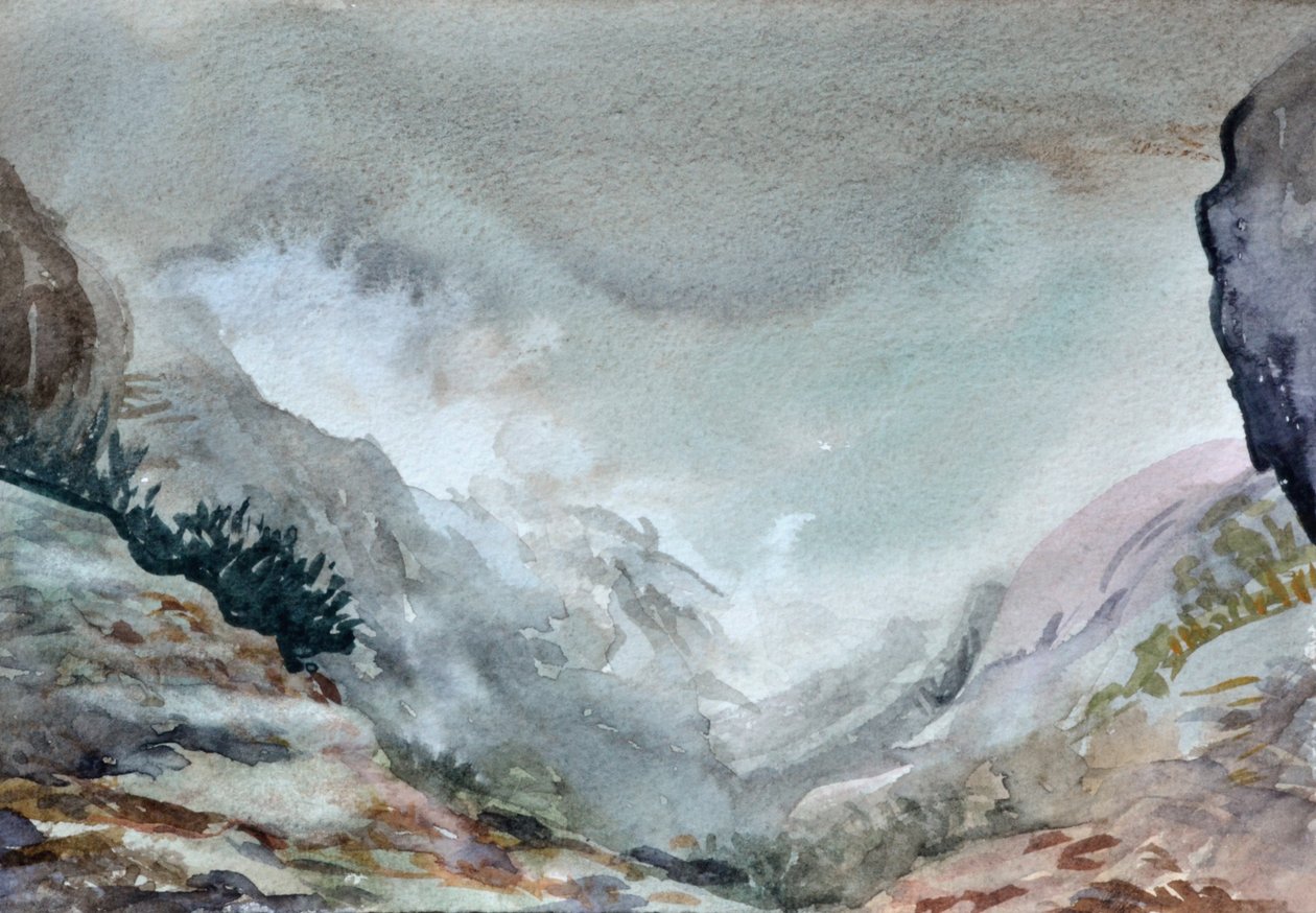Vallei in Mist, 2015 door Christian Furr