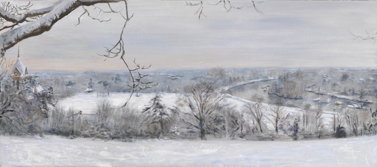 Witte diamanten Richmond Hill Sneeuw, 2015 door Christian Furr