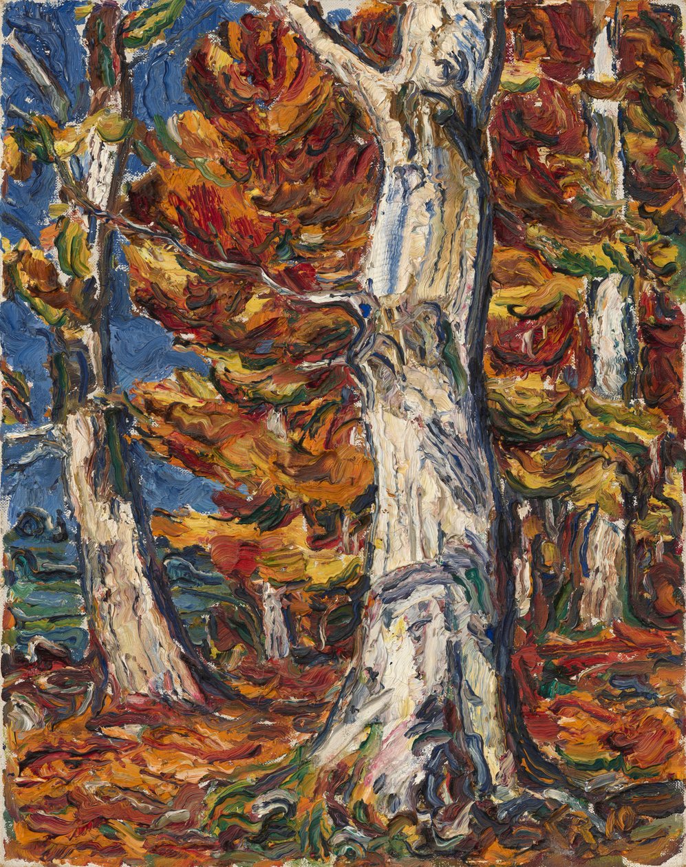 Witte beuken in de herfst door Christian Rohlfs