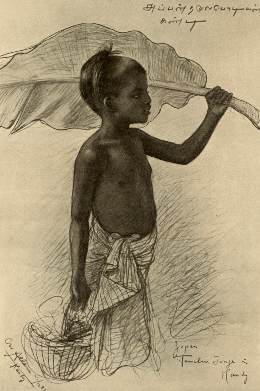 Tamil jongen, Kandy, Ceylon, 1898 door Christian Wilhelm Allers