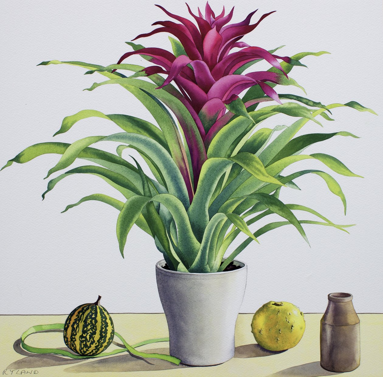 Stilleven met bromelia door Christopher Ryland