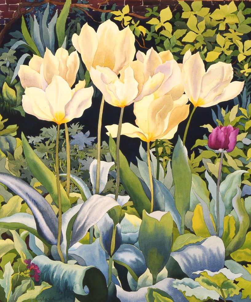 Bleke tulpen door Christopher Ryland