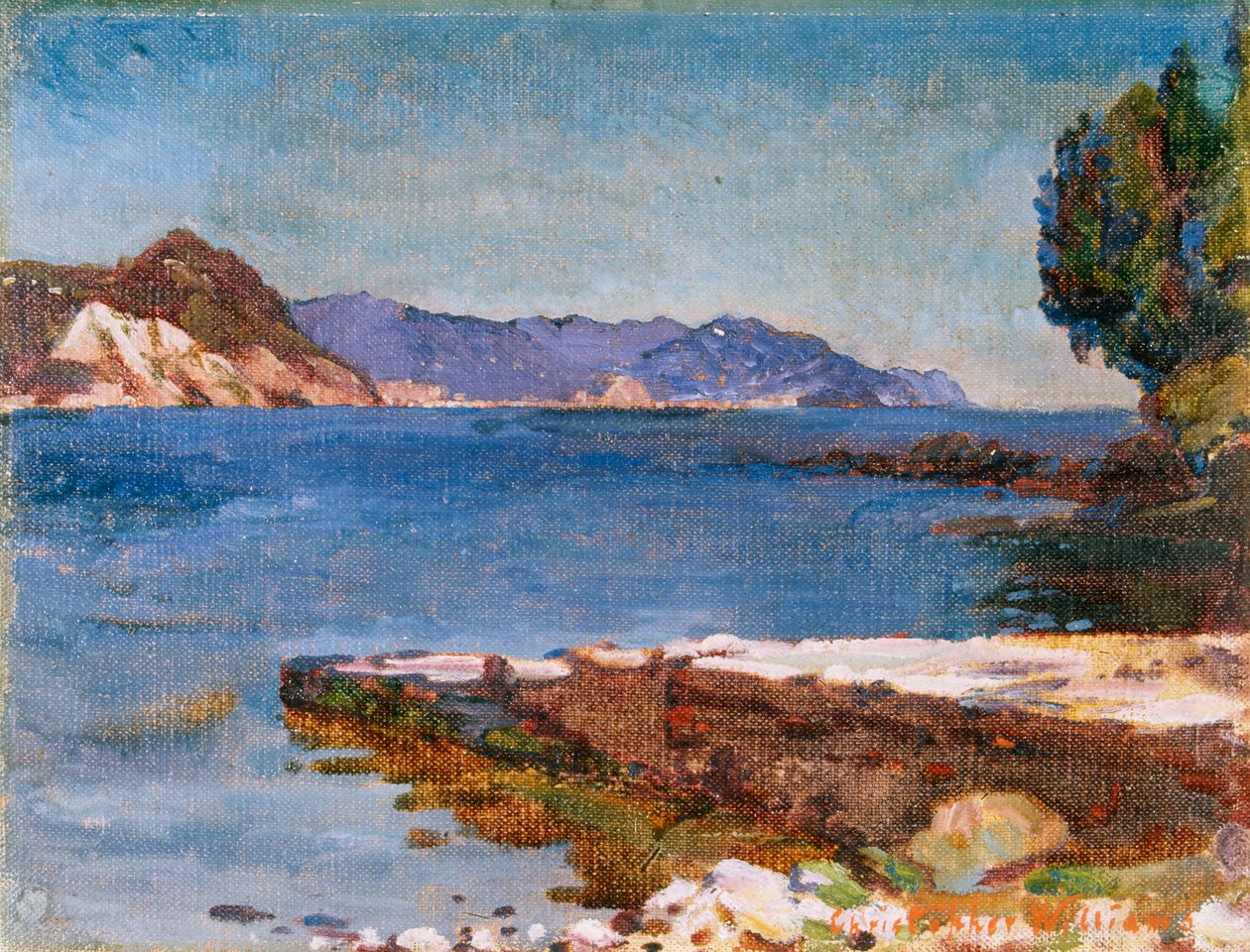 De Ligurische kust vanaf Rapallo door Christopher Williams