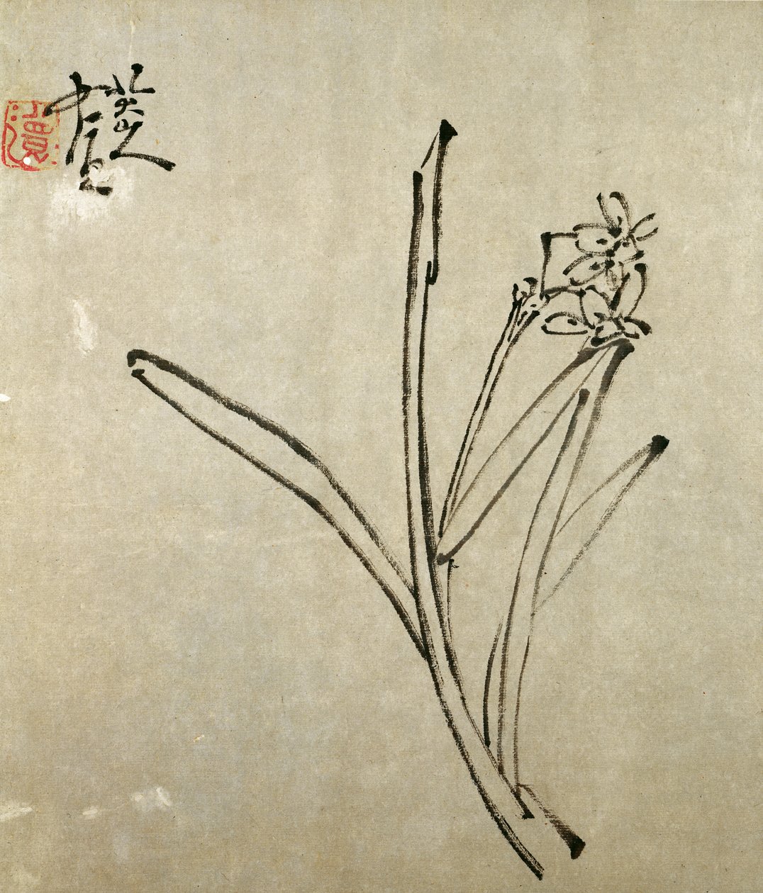 Narcissus door Chu Ta