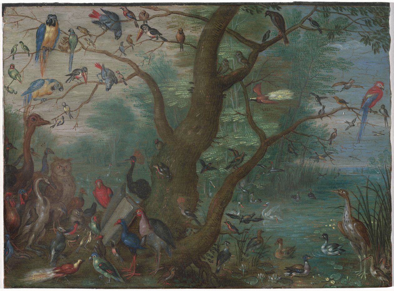 Concert van vogels door Circle of Jan van Kessel the Elder