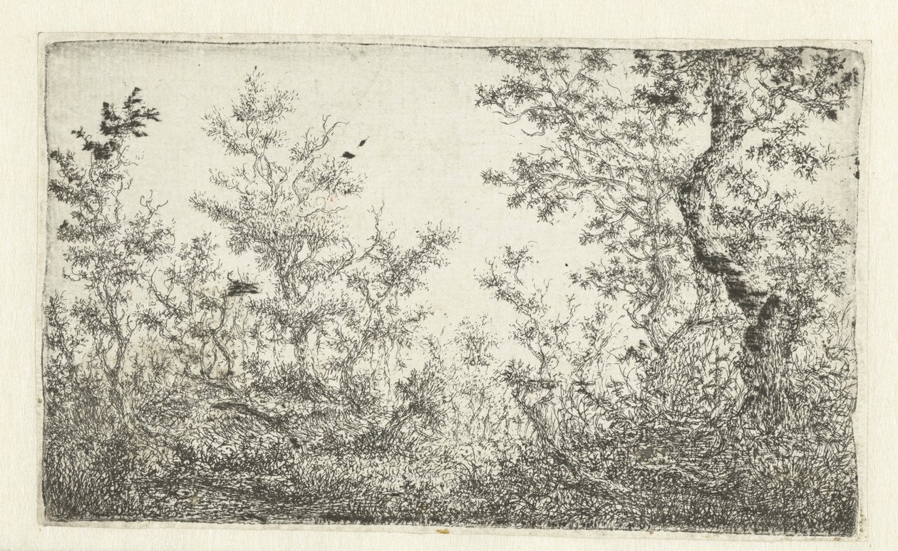 Open plek in het bos door Claes van Beresteyn