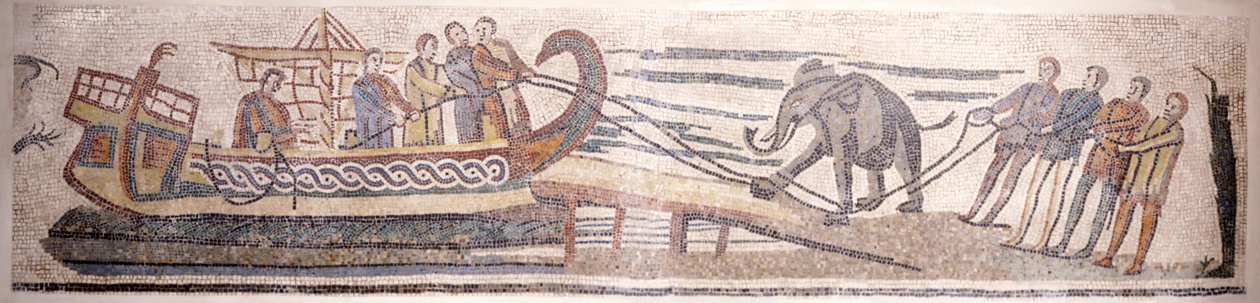 Een olifant aan boord van een schip door Classical Antiquities