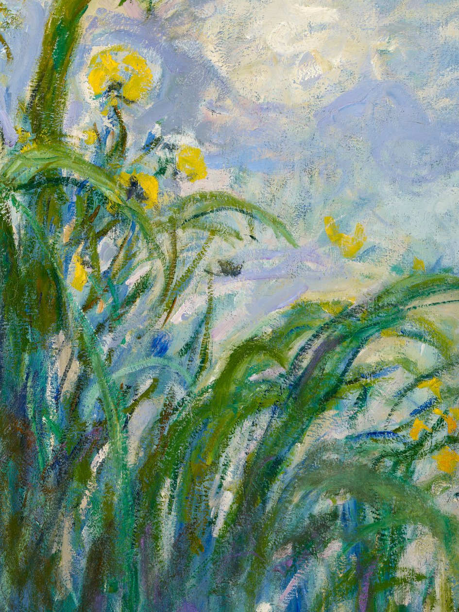 De Gele Iris (detail) door Claude Monet