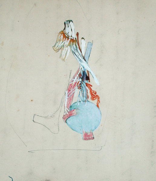 Zenuwstelsel in het hoofd van een kat, 25 mei 1842 door Claude Bernard
