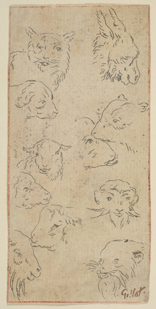 Studie van dierenhoofden door Claude Gillot