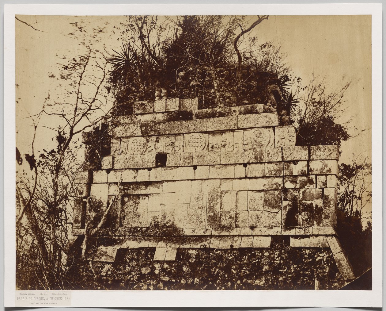 Paleis van het Circus in Chicen-Itza (bas-reliëf van tijgers) door Claude Joseph Désiré Charnay