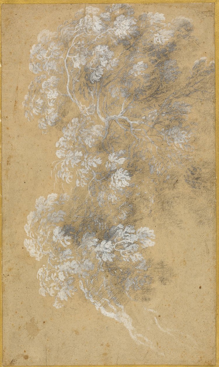 Schets van bladeren en takken door Claude Lorrain