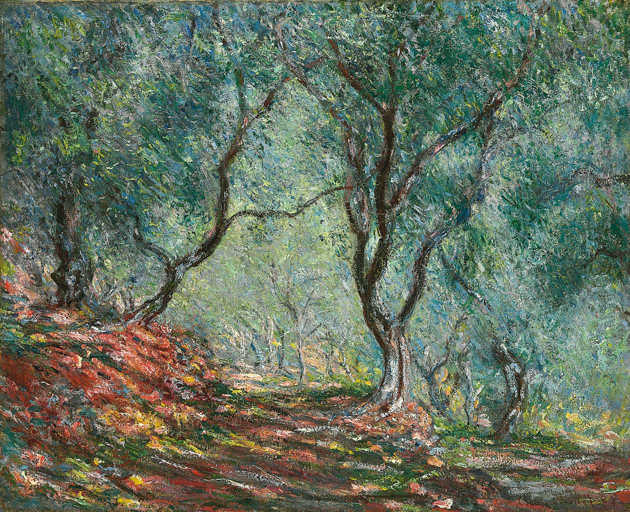 Olijfbomen in de Moreno-tuin; Bois d