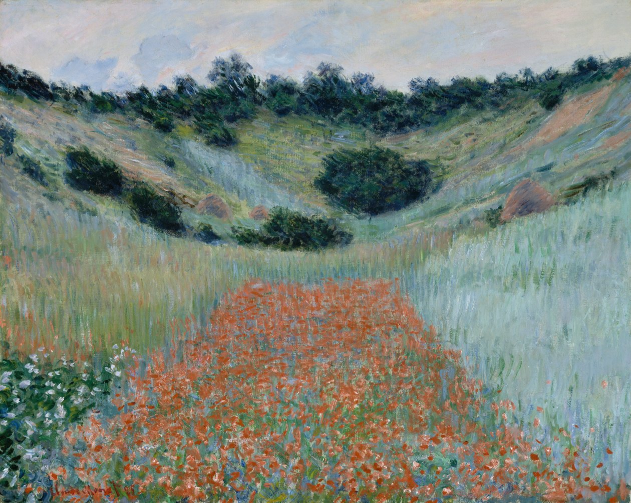 Klaprozenveld in een laagte bij Giverny door Claude Monet