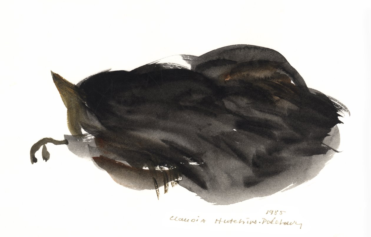 Slapende kat, 1985 door Claudia Hutchins Puechavy