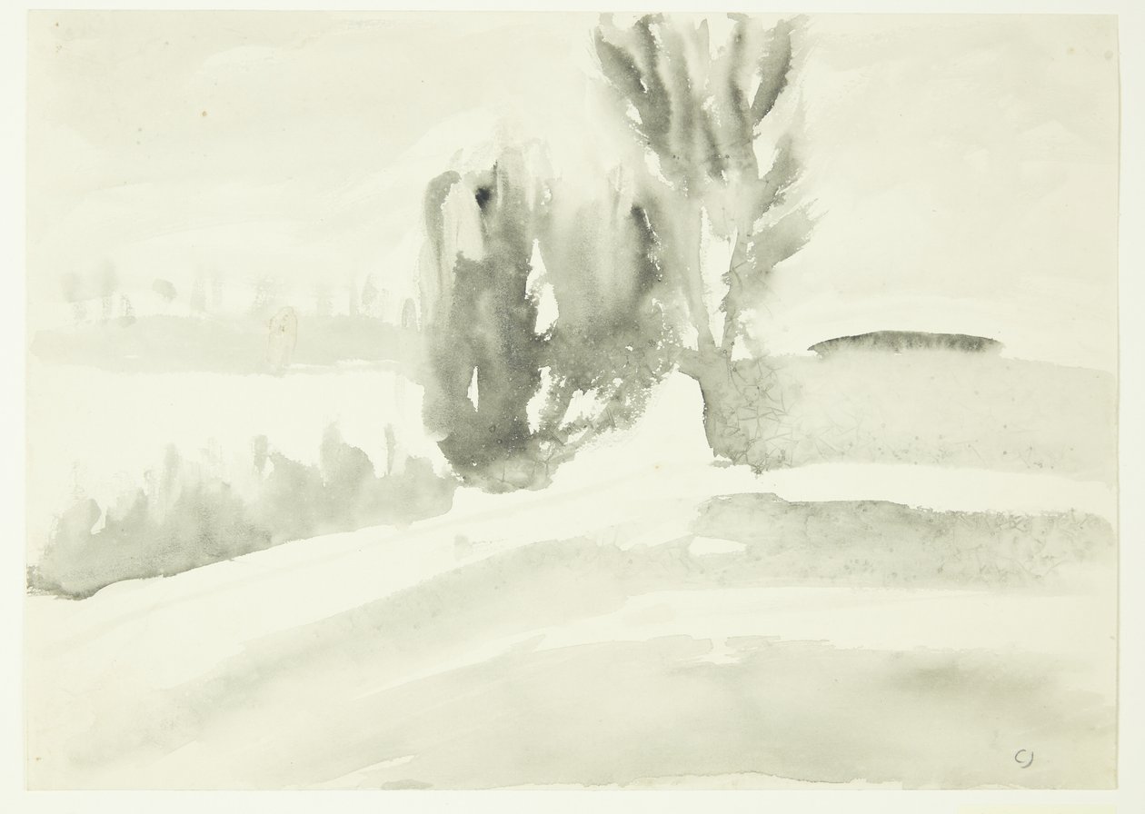 Landschap met bomen door Claus Johansen