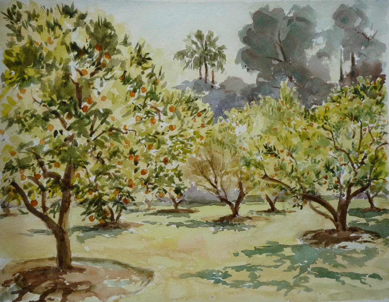 Mamounia, Sinaasappelboomgaarden, 2000 (aquarel) door Clive Wilson