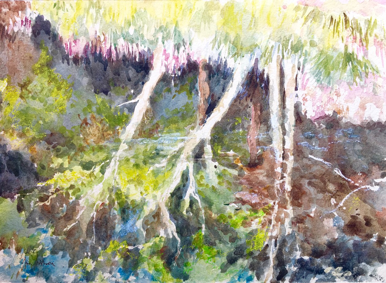 Bosreflecties, Zilvermeer, 2017 (aquarel) door Clive Wilson