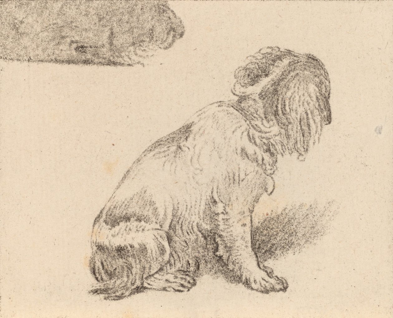 Zittende Hond, 1777 door Cornelis Brouwer