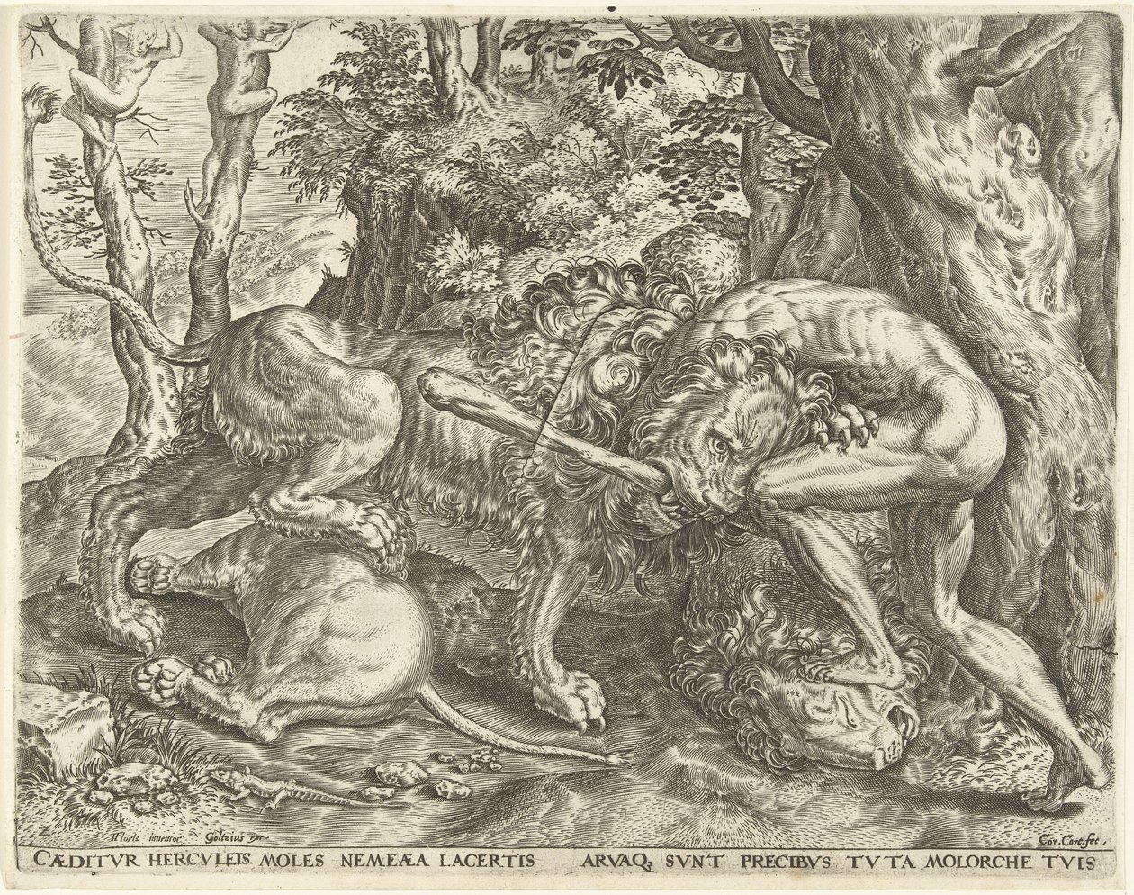 Hercules wurgt de Nemeïsche leeuw door Cornelis Cort
