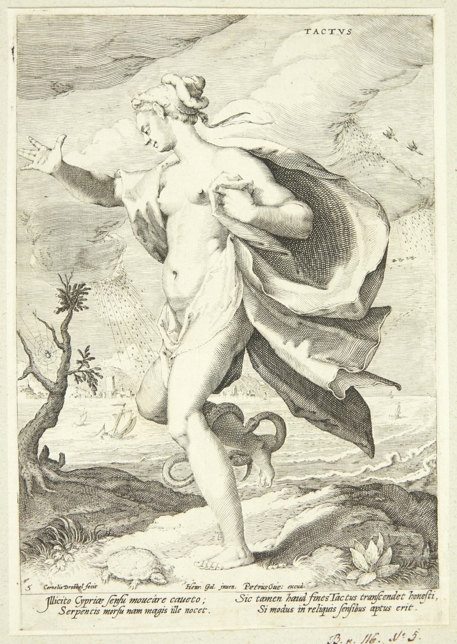De tastzin door Cornelis Jacobsz Drebbel