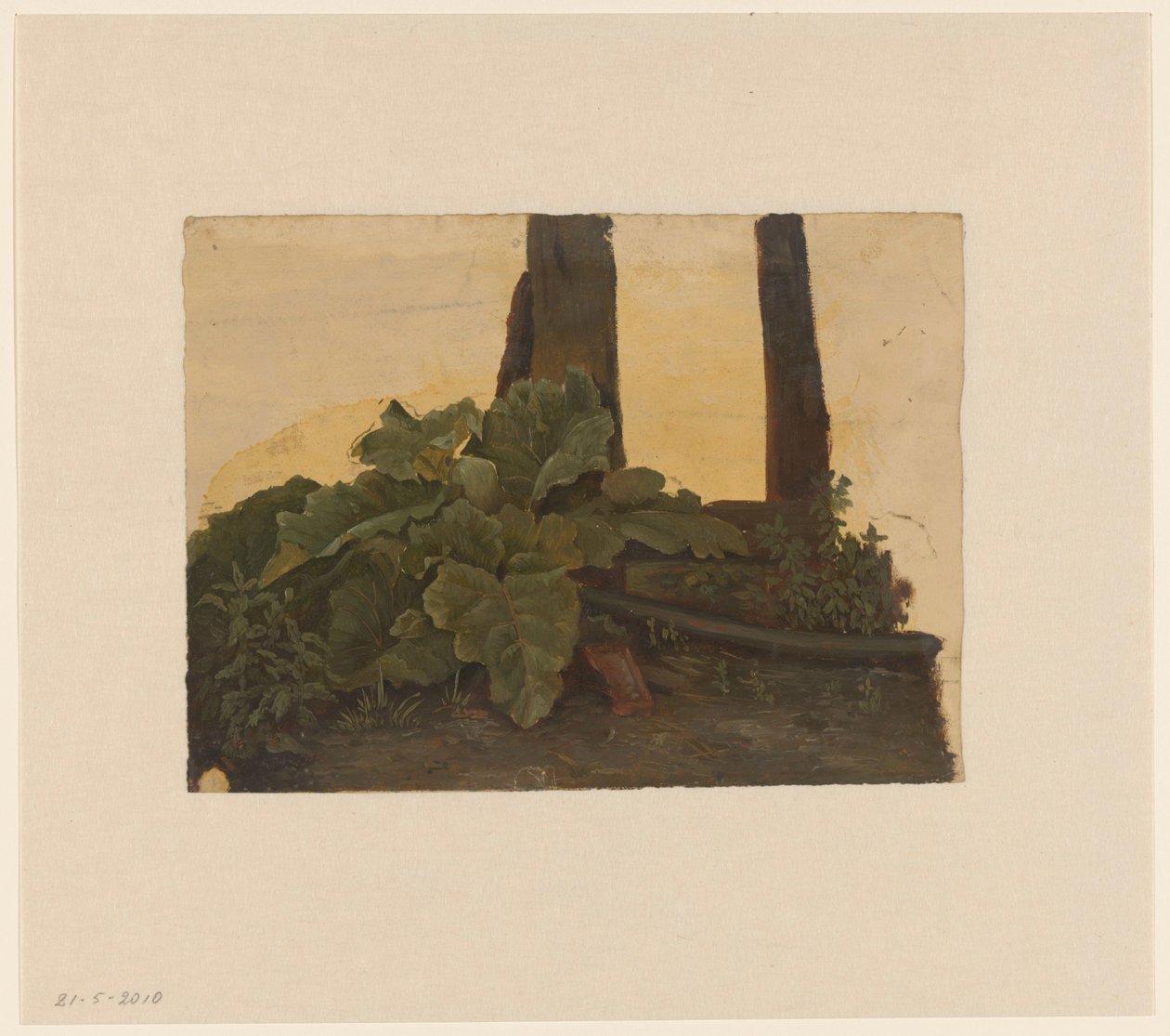 Planten aan de voet van een boomstam door Cornelis Johannes de Vogel